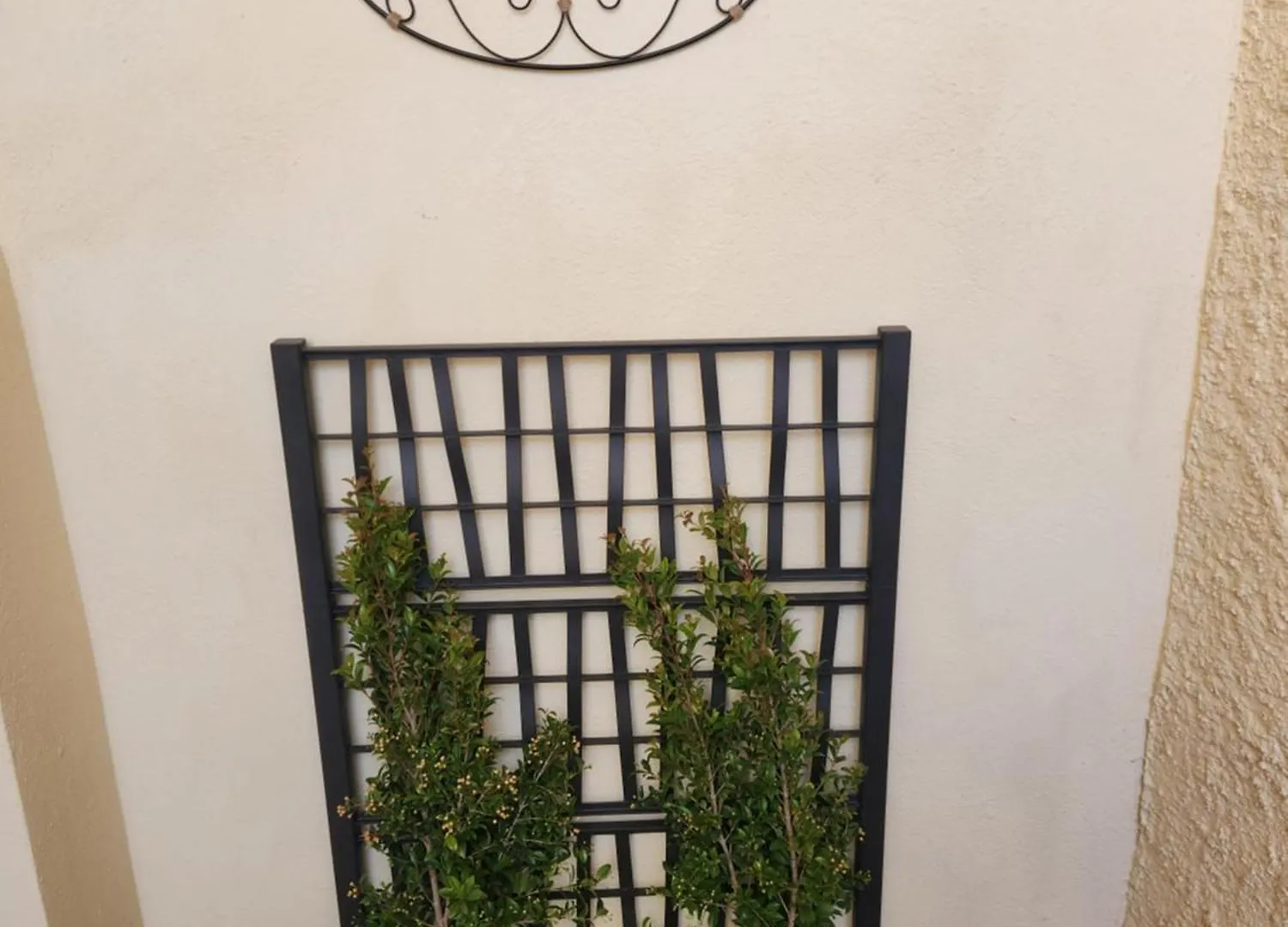 Πανσιόν Affittacamere Le Rondini Domus De Maria