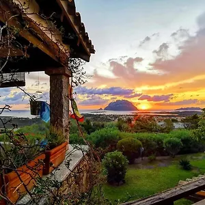 Acchiappasogni Loiri Porto San Paolo